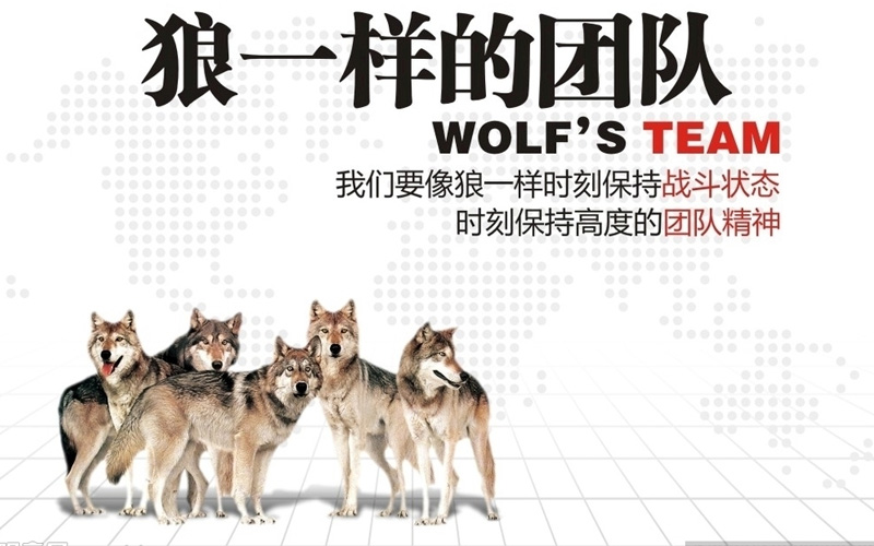 一个进取型销售员的日常行为准则