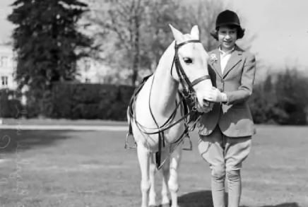 什么是马裤？马裤发展的历史！